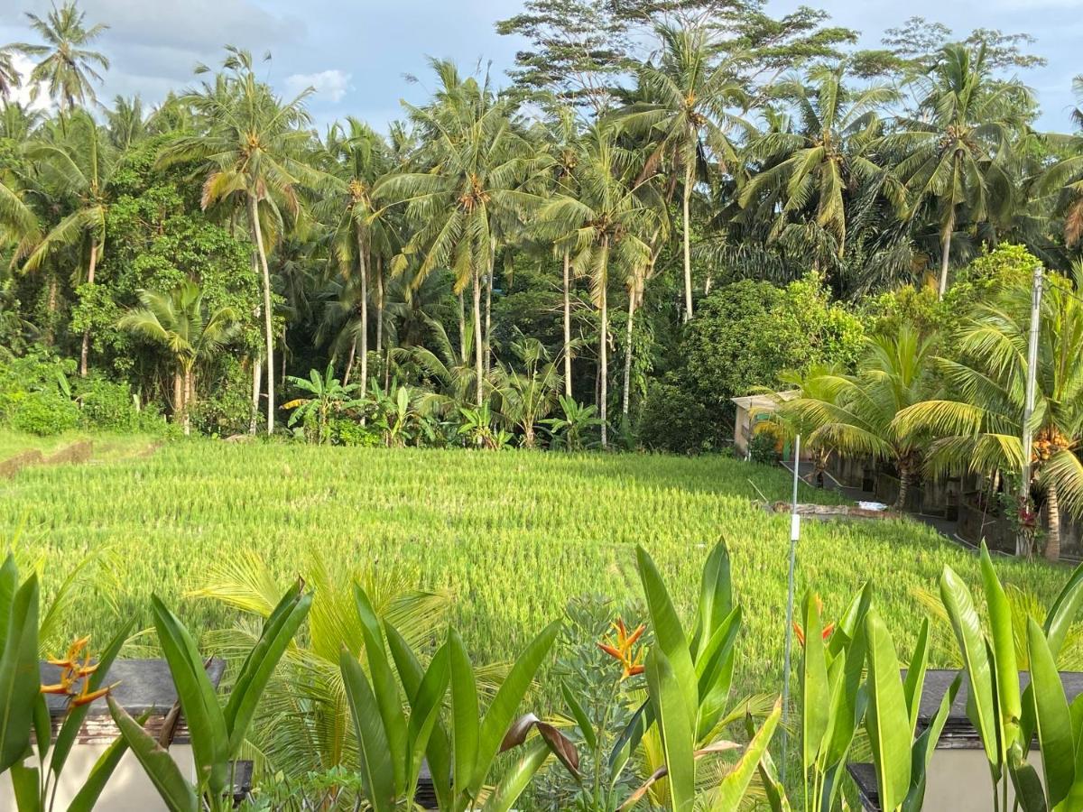 Holiday park Dupa
