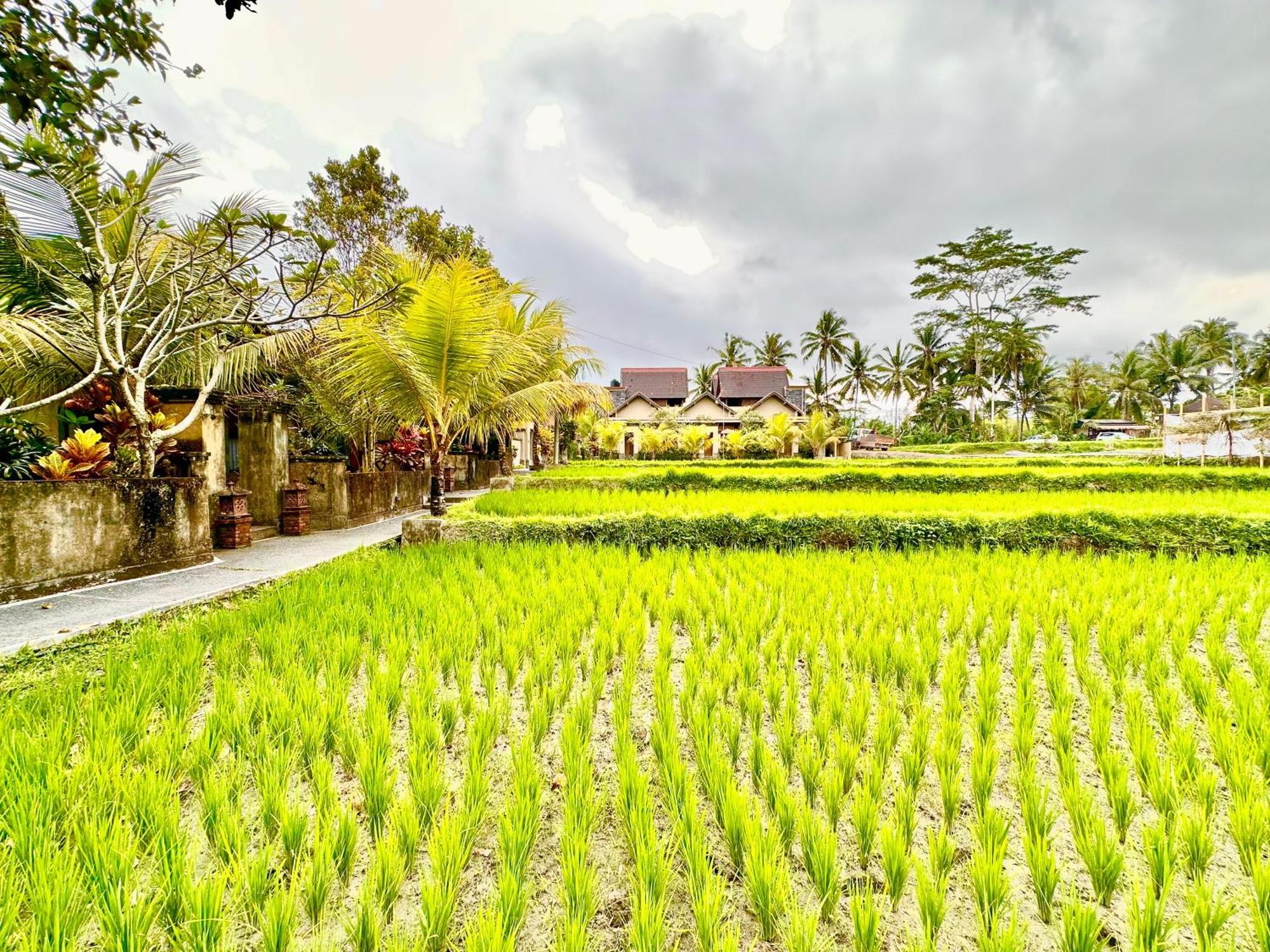 Dupa 4* Ubud (Bali)