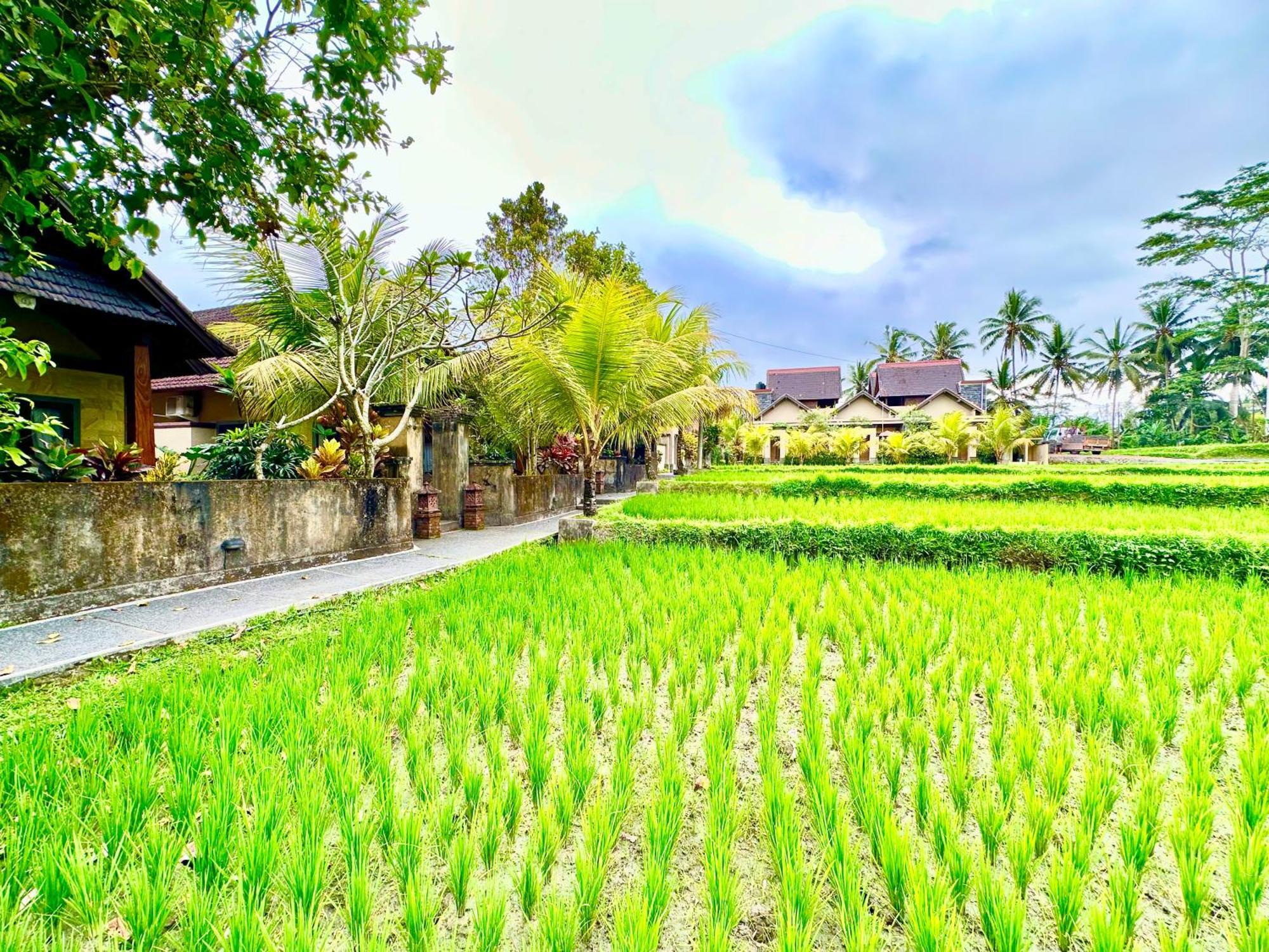 Holiday park Dupa Ubud (Bali)