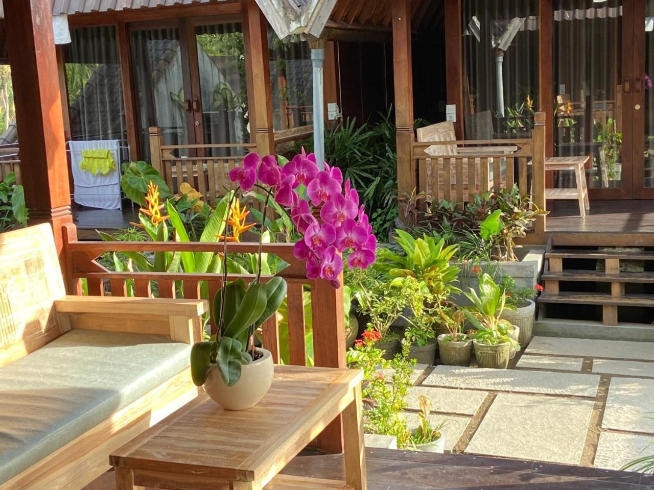 Holiday park Dupa